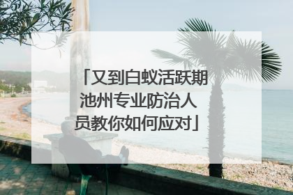 又到白蚁活跃期 池州专业防治人员教你如何应对