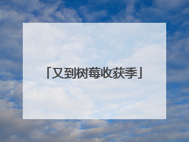 又到树莓收获季