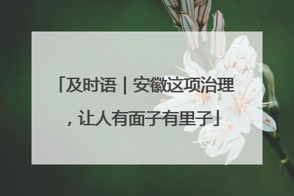 及时语｜安徽这项治理，让人有面子有里子