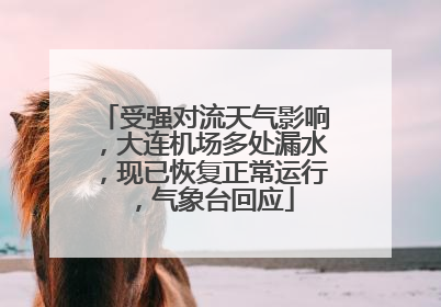 受强对流天气影响，大连机场多处漏水，现已恢复正常运行，气象台回应