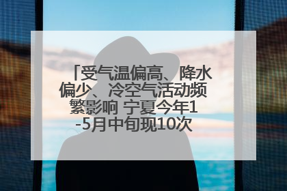 受气温偏高、降水偏少、冷空气活动频繁影响 宁夏今年1-5月中旬现10次定级沙尘天气过程