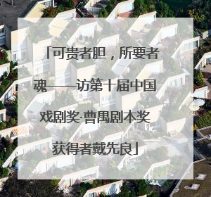 可贵者胆，所要者魂——访第十届中国戏剧奖·曹禺剧本奖获得者戴先良
