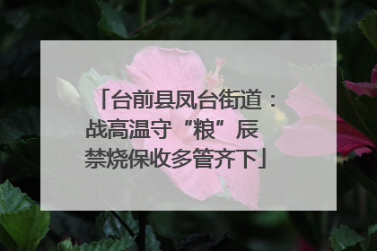 台前县凤台街道：战高温守“粮”辰 禁烧保收多管齐下