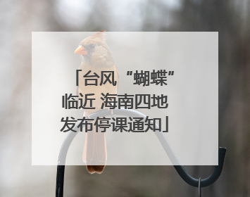 台风“蝴蝶”临近 海南四地发布停课通知