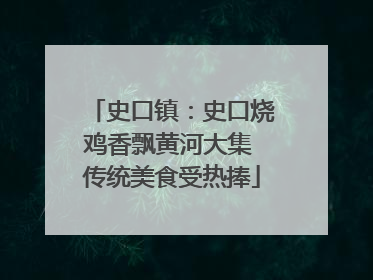史口镇：史口烧鸡香飘黄河大集 传统美食受热捧
