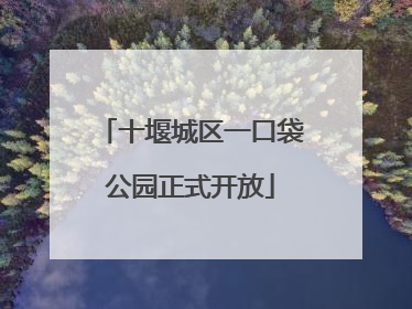 十堰城区一口袋公园正式开放
