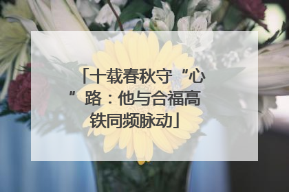十载春秋守“心”路：他与合福高铁同频脉动