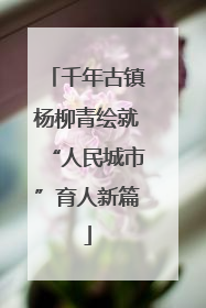 千年古镇杨柳青绘就“人民城市”育人新篇