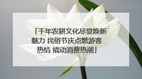 千年农耕文化尽显焕新魅力 民俗节庆点燃游客热情 撬动消费热潮