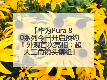 华为Pura 80系列今日开启预约！外观首次亮相：超大三角镜头模组