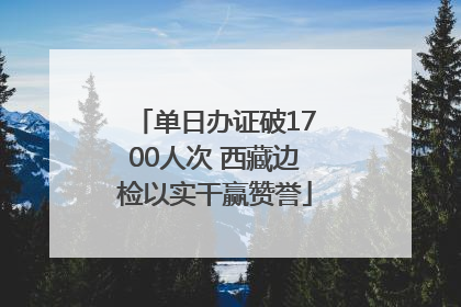 单日办证破1700人次 西藏边检以实干赢赞誉