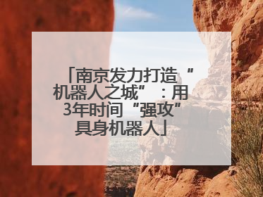 南京发力打造“机器人之城”：用3年时间“强攻”具身机器人