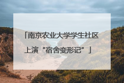 南京农业大学学生社区上演“宿舍变形记”