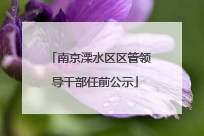 南京溧水区区管领导干部任前公示