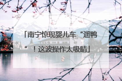 南宁惊现婴儿车“遛鸭”！这波操作太吸睛