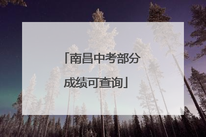 南昌中考部分成绩可查询