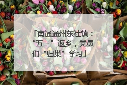 南通通州东社镇：“五一”返乡，党员们“归巢”学习