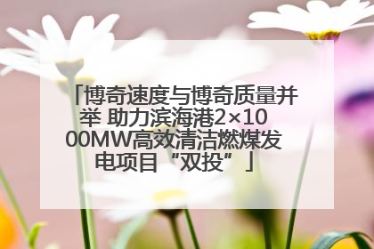 博奇速度与博奇质量并举 助力滨海港2×1000MW高效清洁燃煤发电项目“双投”