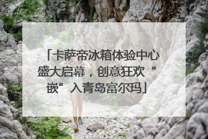 卡萨帝冰箱体验中心盛大启幕，创意狂欢“嵌”入青岛富尔玛