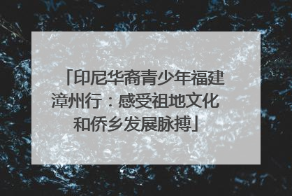 印尼华裔青少年福建漳州行：感受祖地文化和侨乡发展脉搏