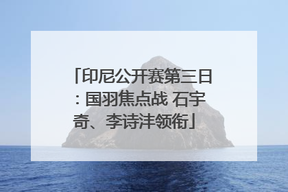 印尼公开赛第三日：国羽焦点战 石宇奇、李诗沣领衔