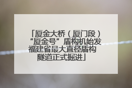 厦金大桥（厦门段）“厦金号”盾构机始发 福建省最大直径盾构隧道正式掘进