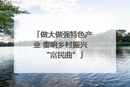 做大做强特色产业 奏响乡村振兴“富民曲”
