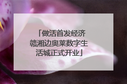 做活首发经济 赣湘边奥莱数字生活城正式开业