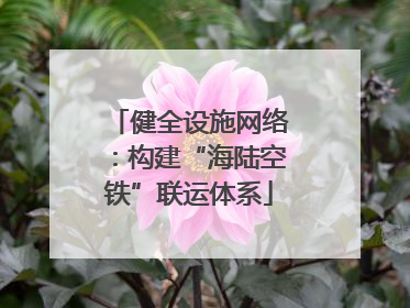 健全设施网络：构建“海陆空铁”联运体系