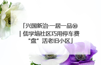 兴国新治·一居一品⑩｜儒学垴社区巧用停车费“盘”活老旧小区