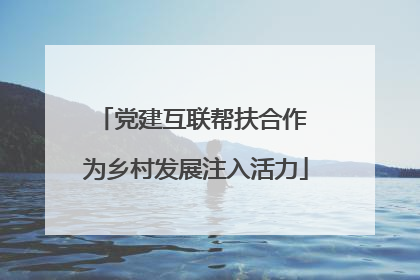 党建互联帮扶合作 为乡村发展注入活力