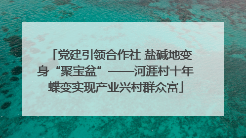党建引领合作社 盐碱地变身“聚宝盆”——河涯村十年蝶变实现产业兴村群众富