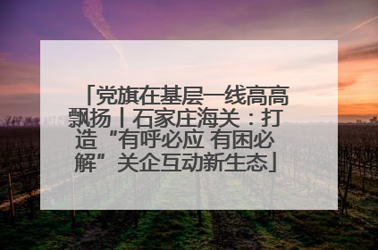 党旗在基层一线高高飘扬丨石家庄海关：打造“有呼必应 有困必解”关企互动新生态