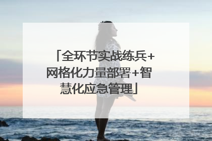 全环节实战练兵+网格化力量部署+智慧化应急管理