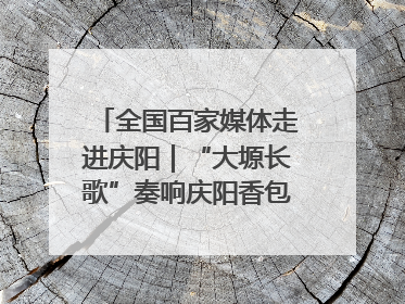 全国百家媒体走进庆阳｜“大塬长歌”奏响庆阳香包民俗文化节序曲