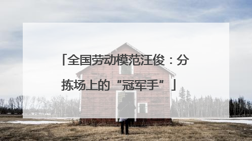 全国劳动模范汪俊：分拣场上的“冠军手”