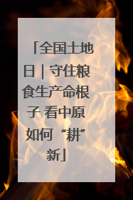 全国土地日｜守住粮食生产命根子 看中原如何“耕”新