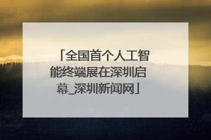 全国首个人工智能终端展在深圳启幕_深圳新闻网