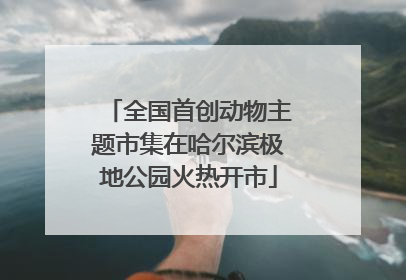 全国首创动物主题市集在哈尔滨极地公园火热开市
