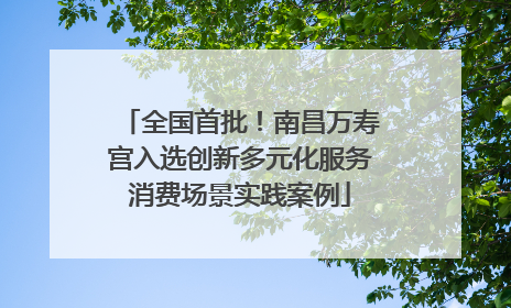 全国首批！南昌万寿宫入选创新多元化服务消费场景实践案例