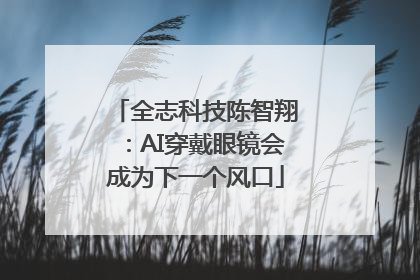 全志科技陈智翔：AI穿戴眼镜会成为下一个风口