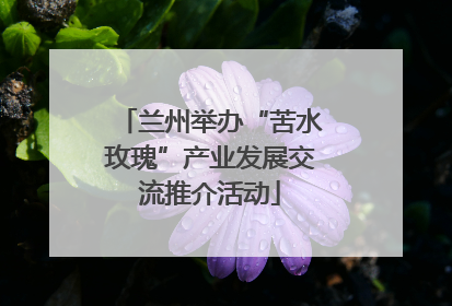 兰州举办“苦水玫瑰”产业发展交流推介活动