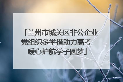 兰州市城关区非公企业党组织多举措助力高考 暖心护航学子圆梦