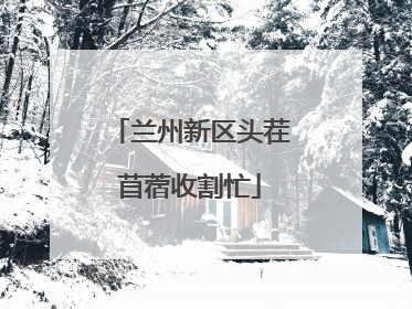 兰州新区头茬苜蓿收割忙