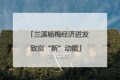 兰溪杨梅经济迸发致富“新”动能