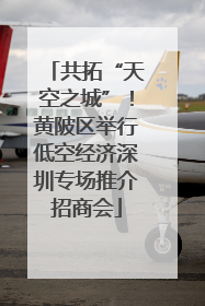共拓“天空之城”！黄陂区举行低空经济深圳专场推介招商会