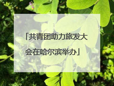 共青团助力旅发大会在哈尔滨举办