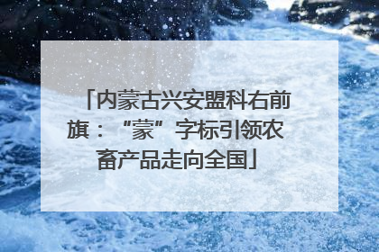 内蒙古兴安盟科右前旗：“蒙”字标引领农畜产品走向全国