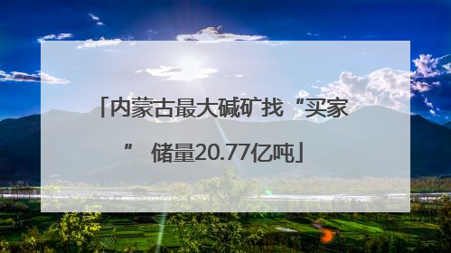 内蒙古最大碱矿找“买家” 储量20.77亿吨