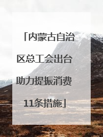 内蒙古自治区总工会出台助力提振消费11条措施